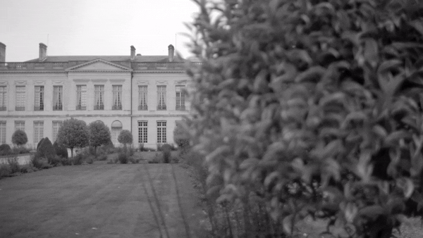 Les rendez-vous aux jardins