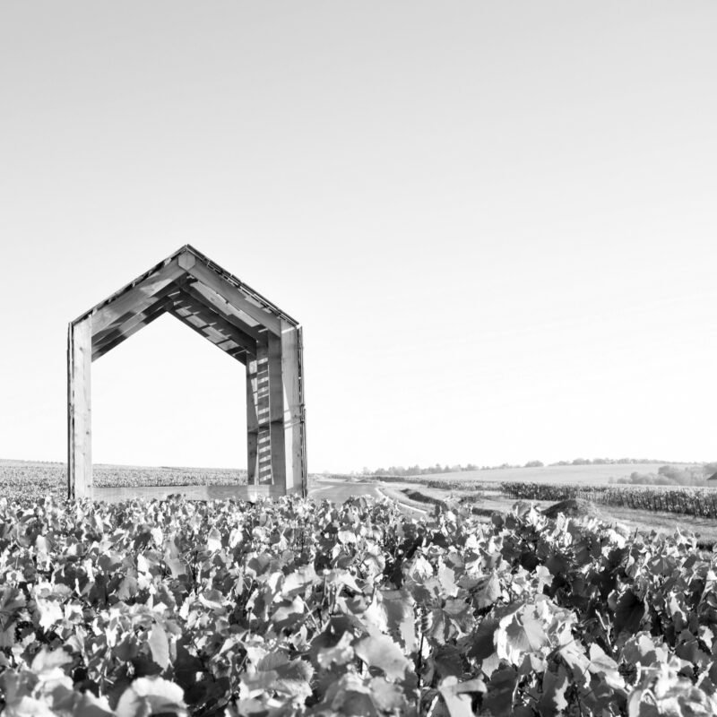 Architecture en Champagne — loge de vigne contemporaine dans les vignes