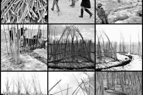 55545374_2338090466410691_4630604090940850176_n (1) 55545374_2338090466410691_4630604090940850176_n (1)