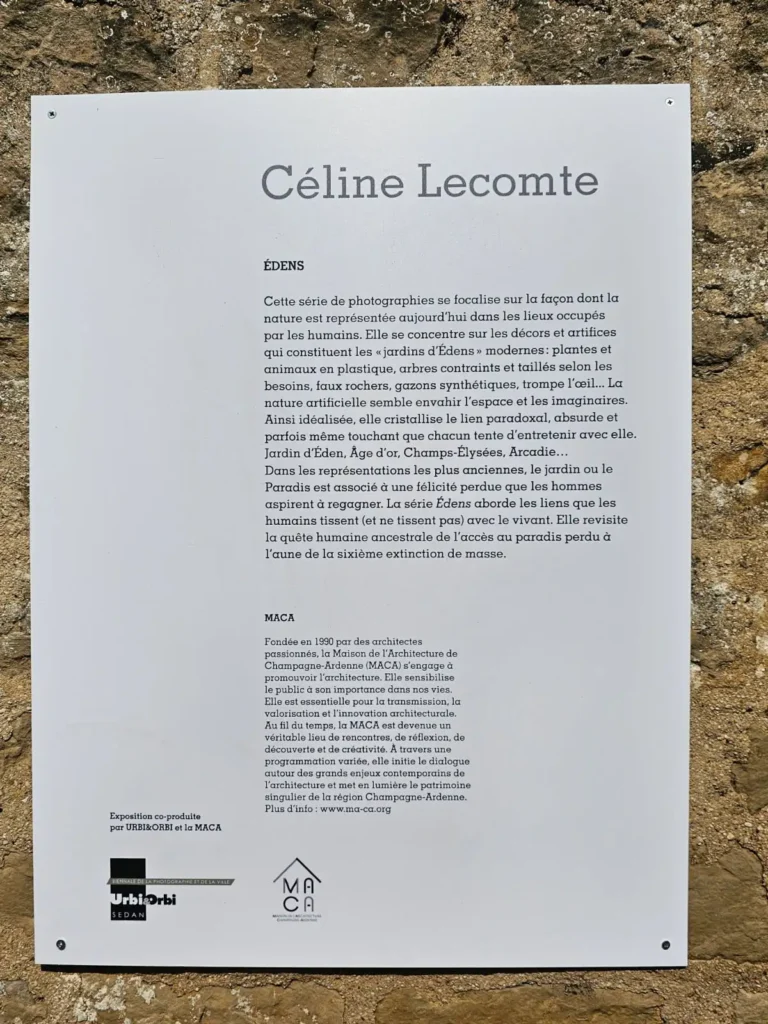 maca-jep2025-expo-celinelecomte5